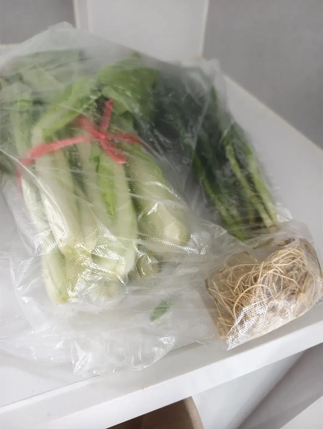 每周必逛-月亮岛西湘江农贸市场