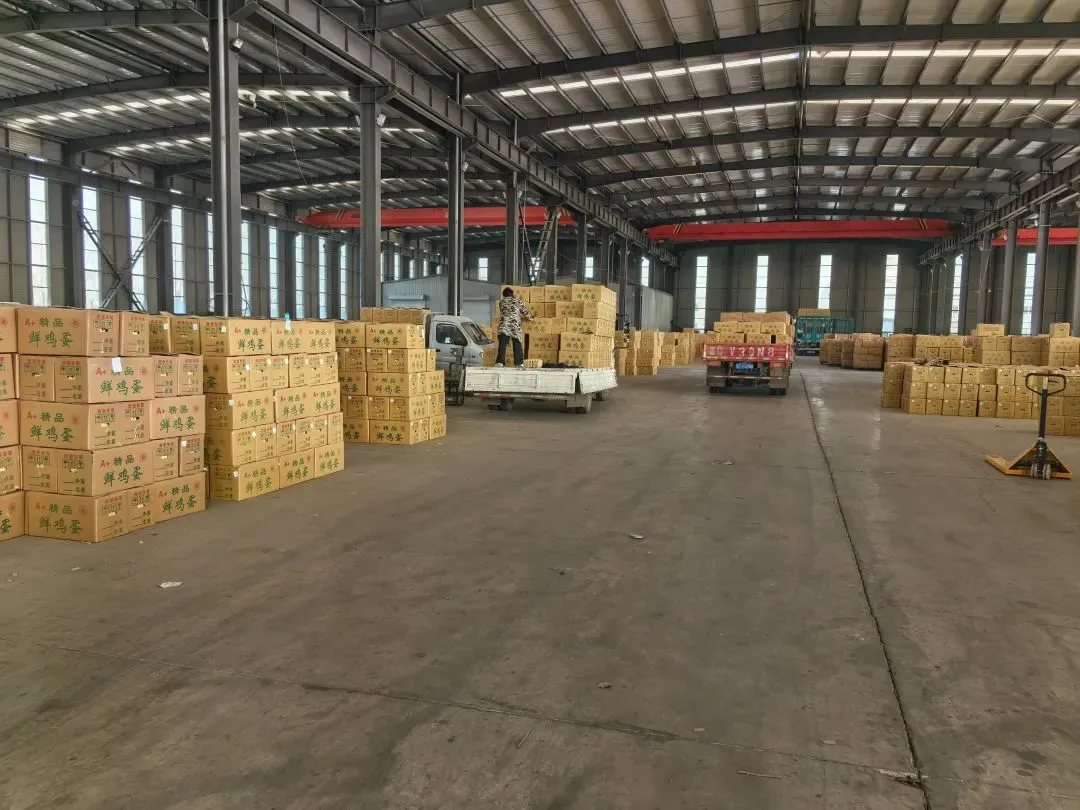 2026.04.12馆陶县金凤市场煜辰蛋业最新鸡蛋价格