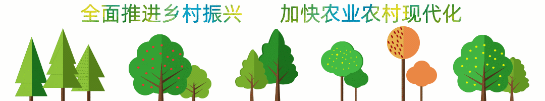 广东省市场监督管理局1月10日更新了领导信息