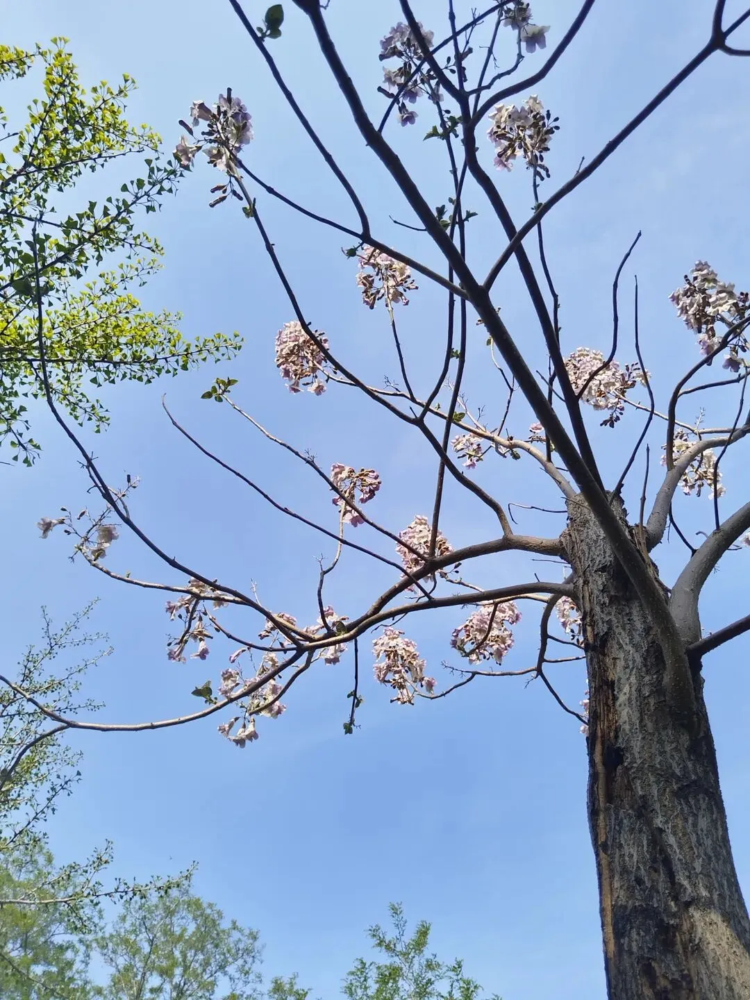 餐饮门店营销模式