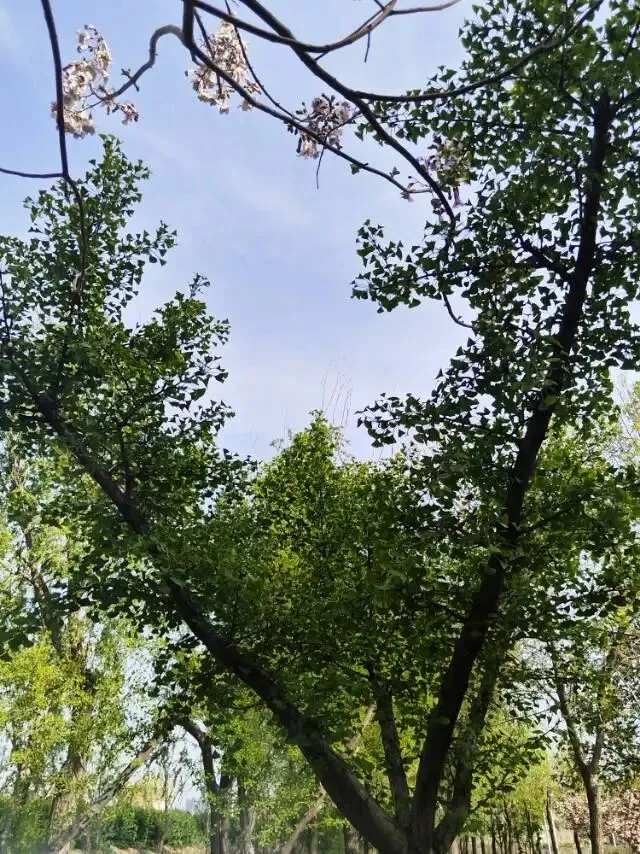 餐饮门店营销模式