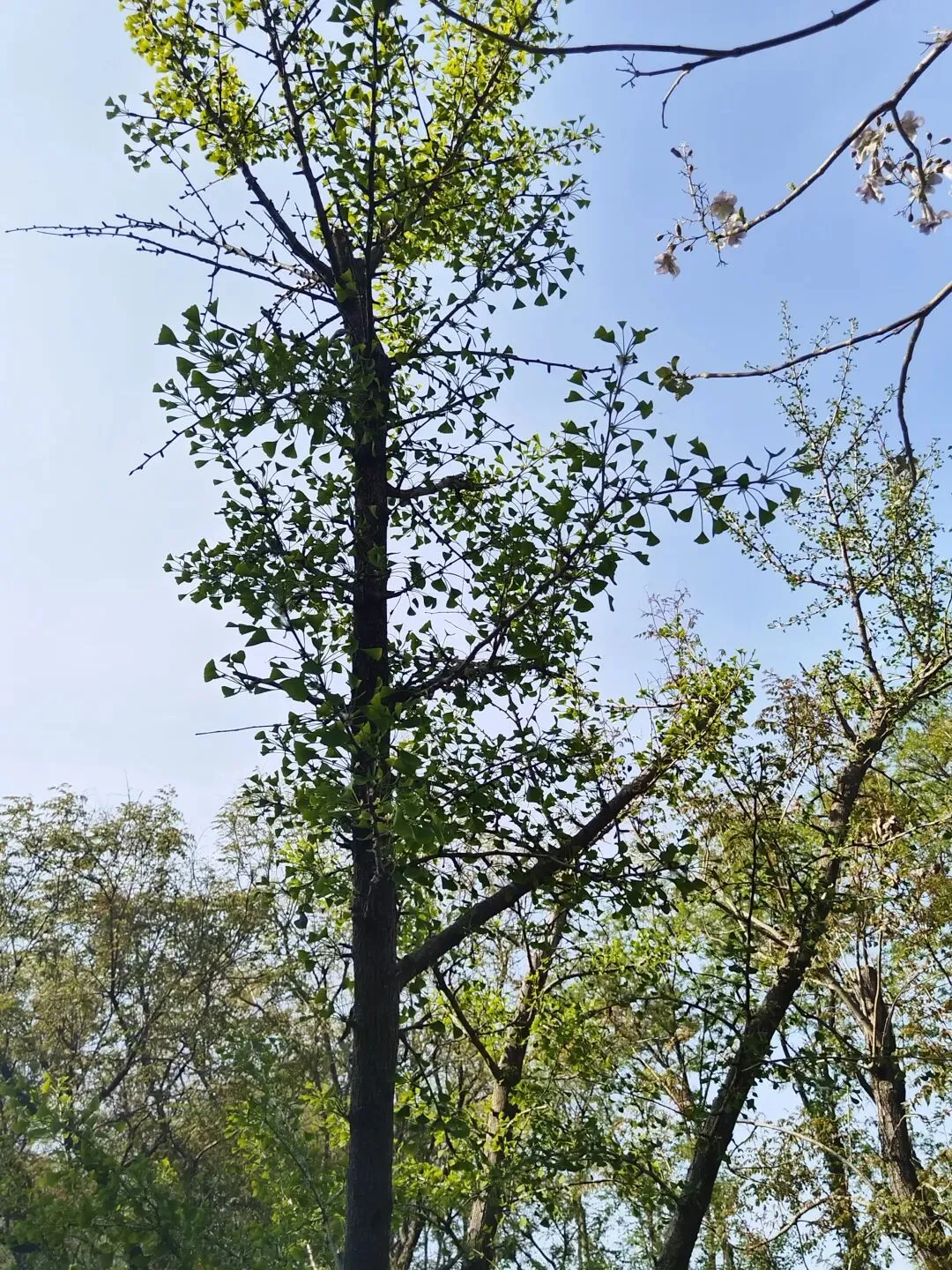 餐饮门店营销模式