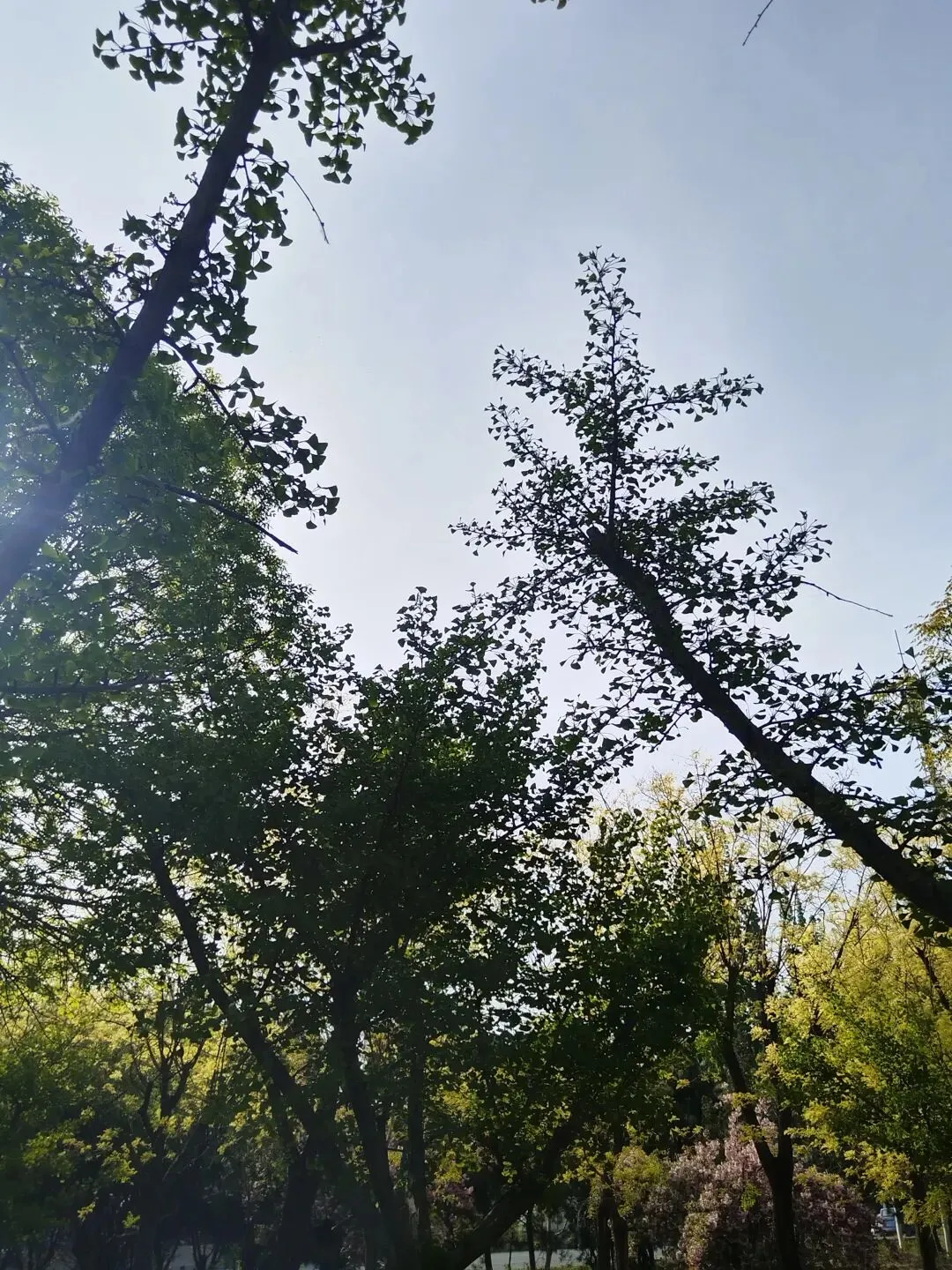 餐饮门店营销模式