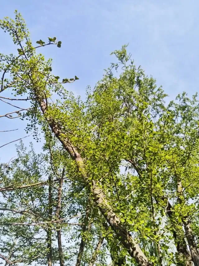 餐饮门店营销模式