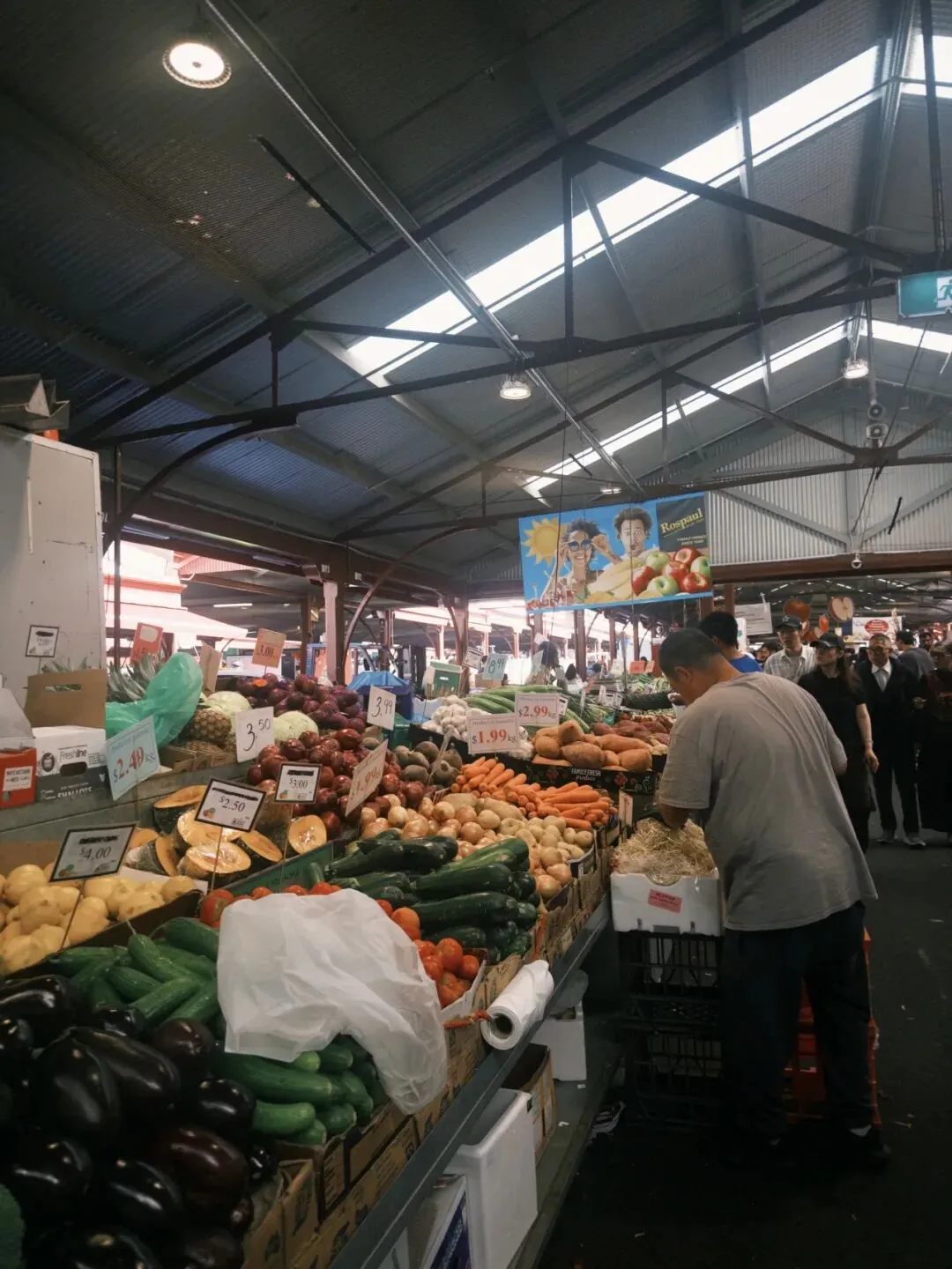 墨尔本杂记|逛市场