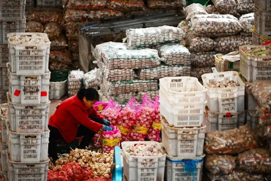 河西vs屯汇市场比价!今天太原哪里买菜最便宜?