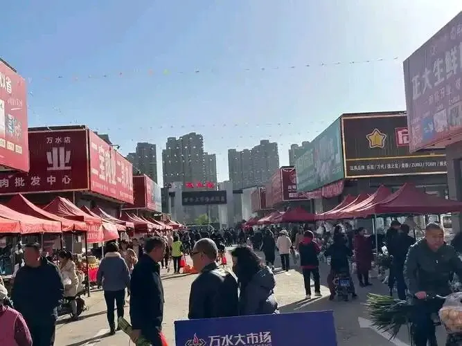 河西vs屯汇市场比价!今天太原哪里买菜最便宜?