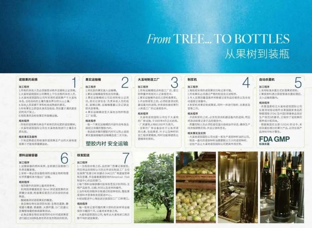 诺丽市场迷局:当价格迷雾散去,什么才是真正的“王者”?