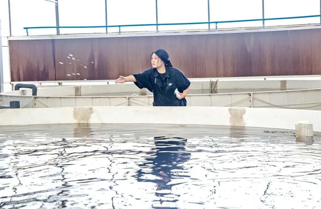 忠州鱼苗走俏市场