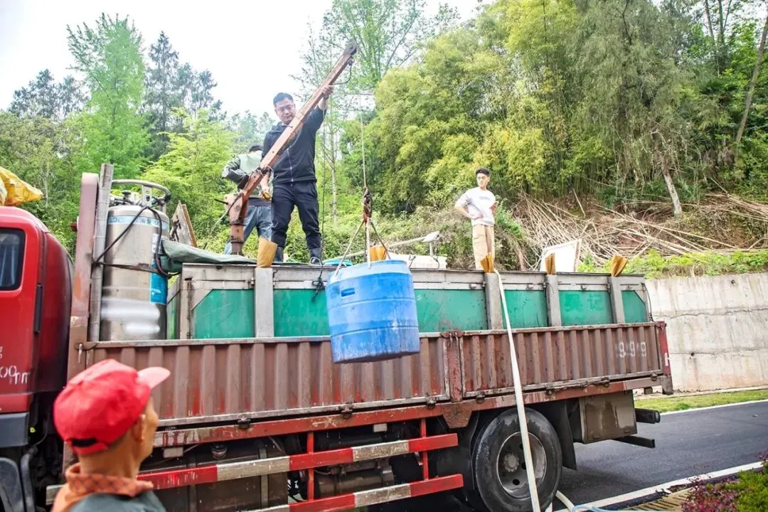 忠州鱼苗走俏市场