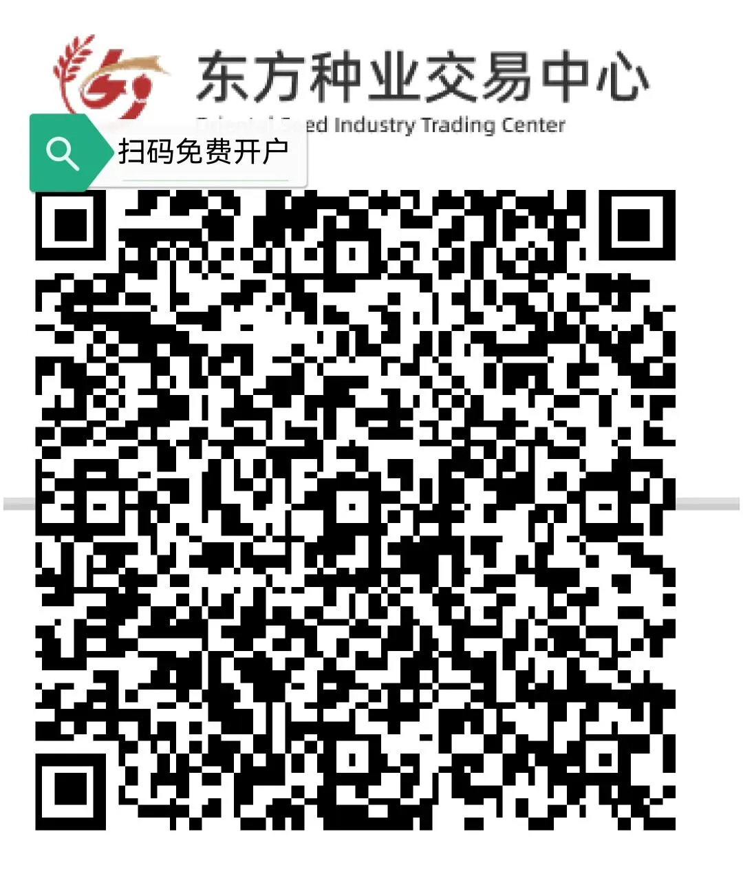 4月12日安丘生姜市场上货微减,下货慢,疲弱