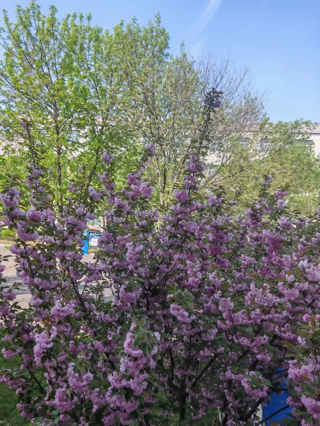 用营销思维跟大学同学相处,关键要“共鸣”,别当“跟班”!