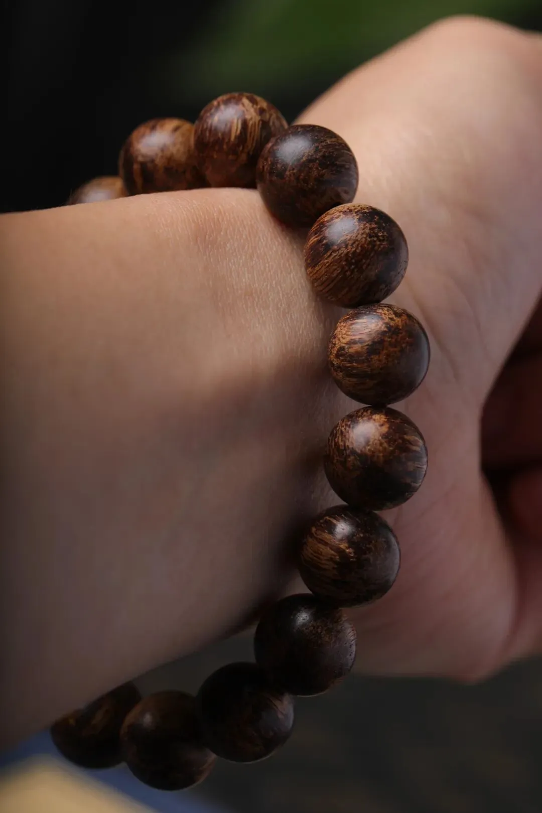 2026沉香市场深度解析:从养生顶流到收藏硬通货,读懂沉香的价值与门道