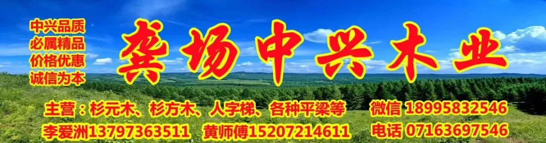 网市市场监管所开展违规低速电动车专项整治工作