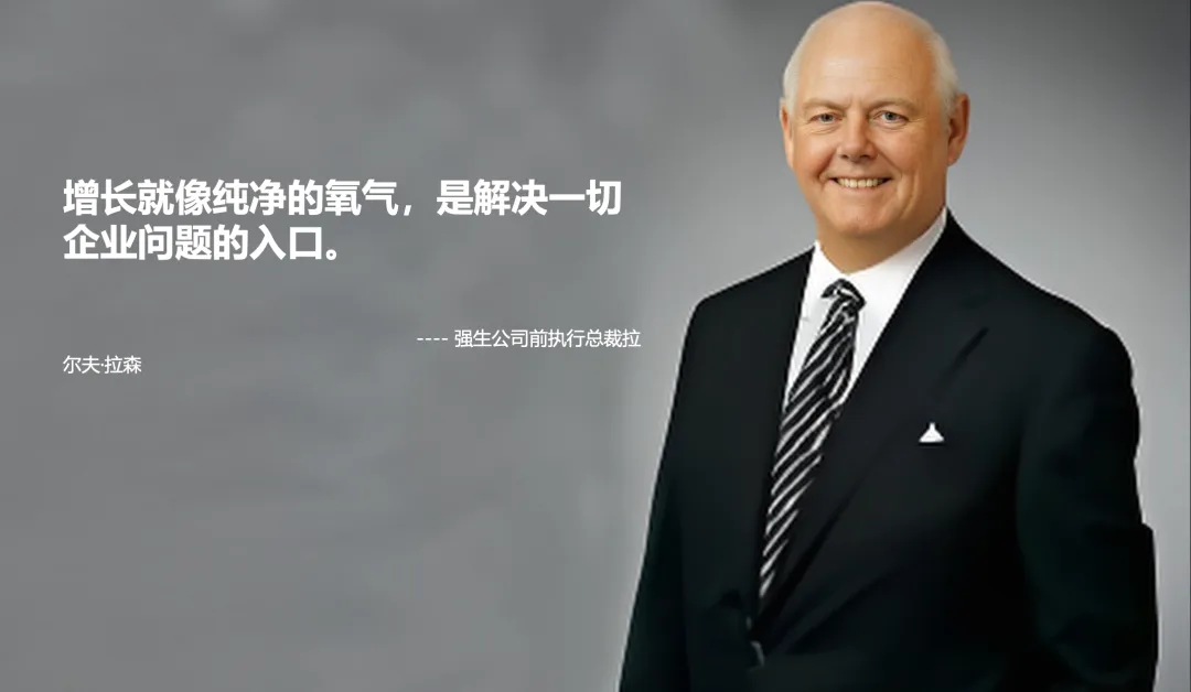 别找了!企业董事长所需的撕开市场缺口的利刃,是战略大单品!