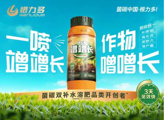 别找了!企业董事长所需的撕开市场缺口的利刃,是战略大单品!