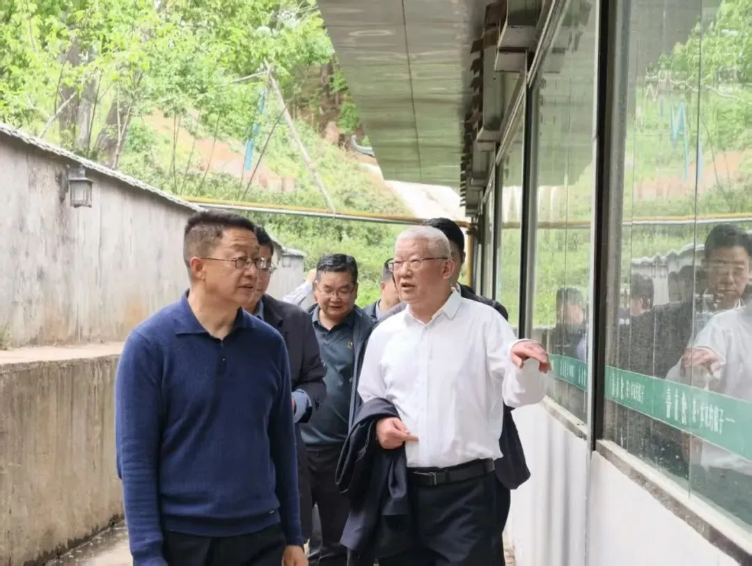 深化春茶市场整治规范“百日行动” 护航信阳茶产业高质量发展——市监管局党组书记黄玉武到主茶区实地调研