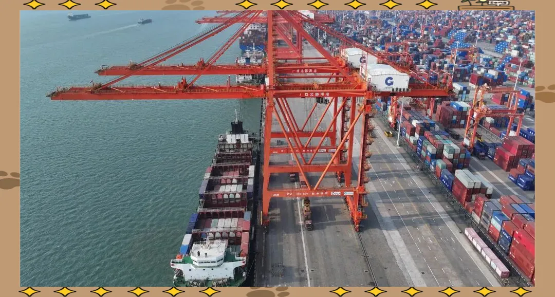 2026牛羊肉市场拐点:从“量”到“质”的七张底牌