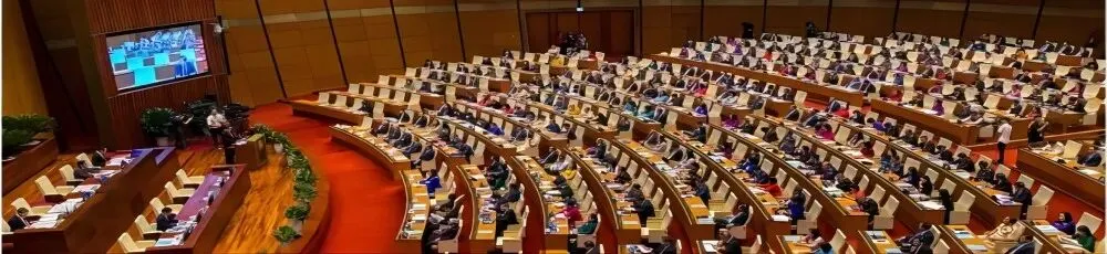 TK越南视频营销第一?脸书Ins效果更好?谷歌:都是错觉!