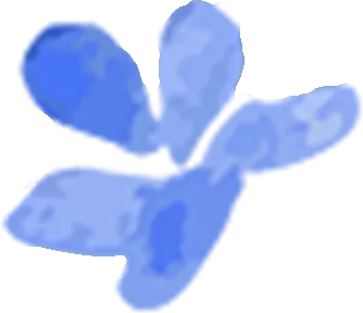 花园路晋中汇隆市场2026年4月12日价格动态