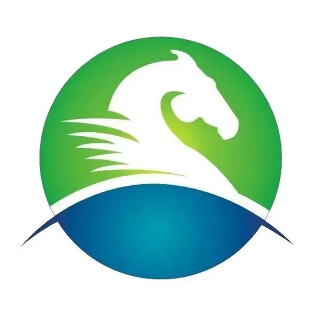 演讲嘉宾 | 青骐骥市场总监李颖:碱性电解槽在离网场景的工程创新与实践