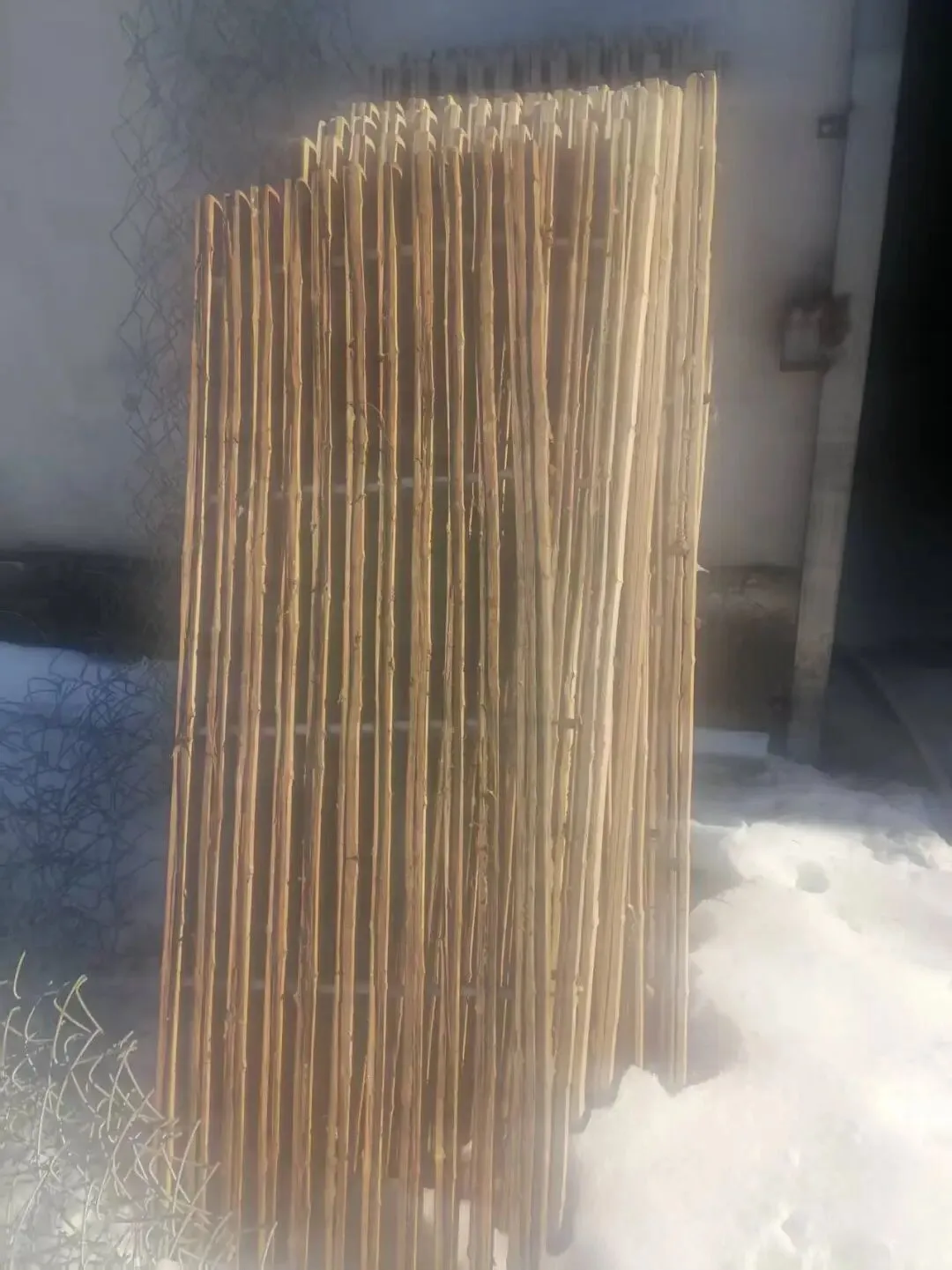 汤原买卖市场信息丨4月12日