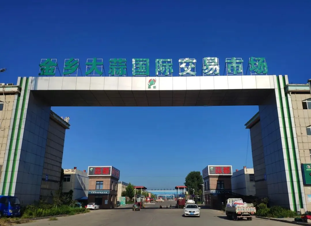 2026年4月12日金乡大蒜国际交易市场大蒜、干椒行情