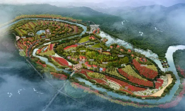 西充玫澜有机玫瑰:从川北花谷走向全国市场