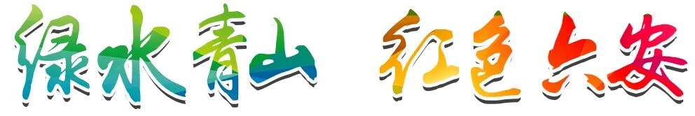 六安市场监督管理局公布!2026年典型案例