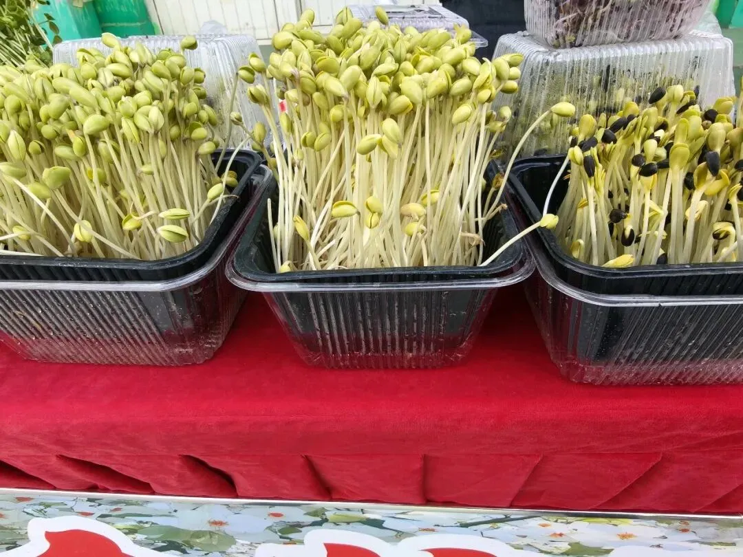 【市场动态】芽苗菜亮相北京新发地市场第四届种子节 绿色食材健康上新