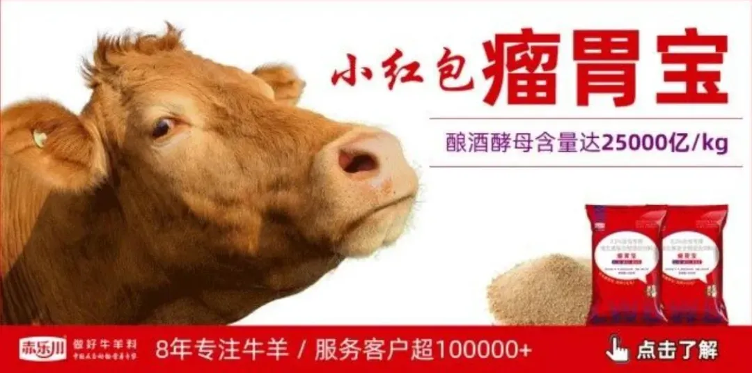 史上最全的中国牛羊交易市场合集!给你整理全啦,养殖户快快收藏起来!