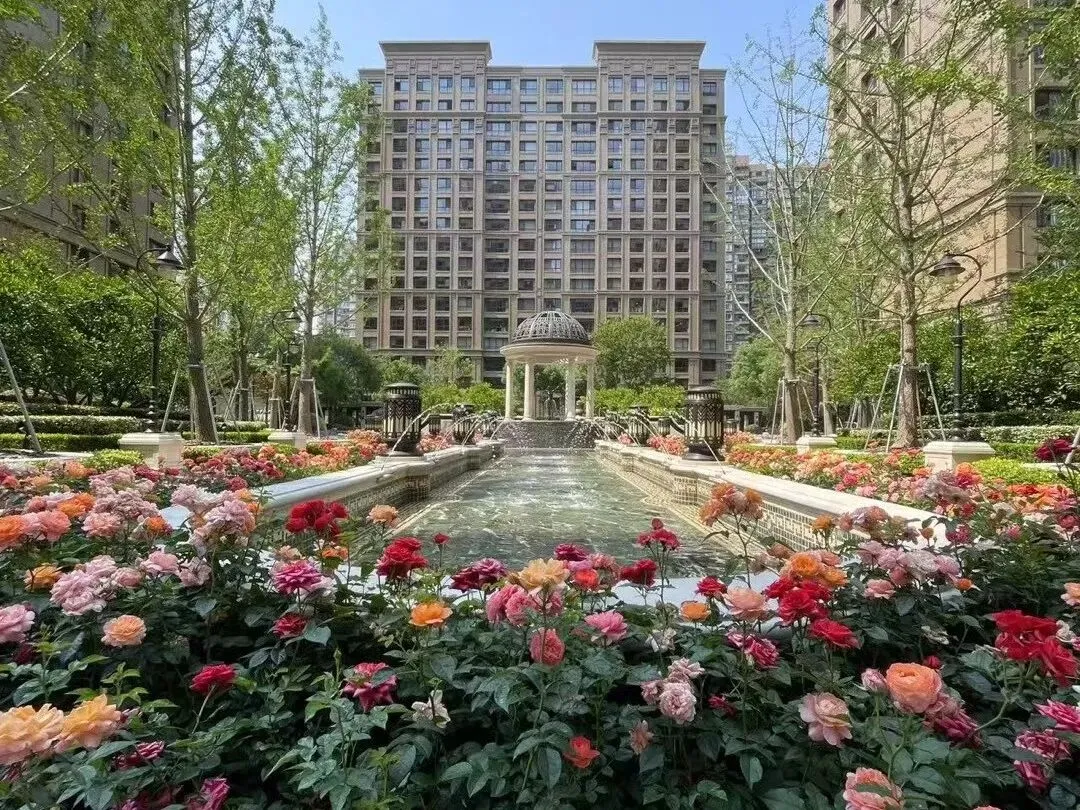 董家渡豪宅 | 04.06-04.12市场周报 | 丽兹行黄浦滨江店