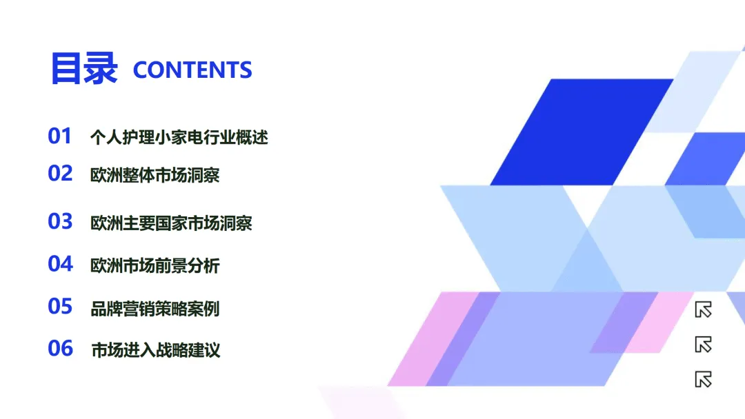 2025个护小家电行业欧洲市场开拓报告-海域出海研究