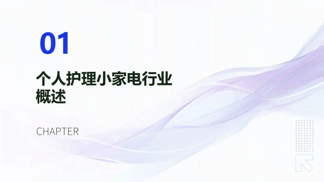2025个护小家电行业欧洲市场开拓报告-海域出海研究