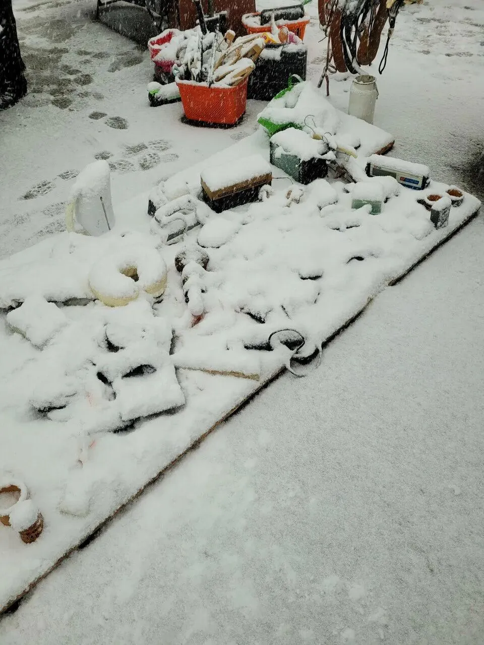 №143—白俄罗斯日单诺维奇跳蚤市场Поле Чудес