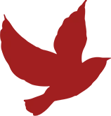 青春铸同心,法治启新程 | 市场营销2401班开展主题团日活动