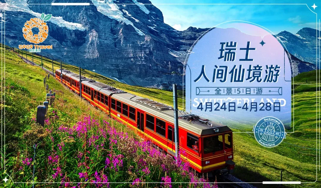 近90%?荷兰电子烟市场非法货太多!卫生部长震惊:年轻人枕头下藏电子烟,肺都塌了…