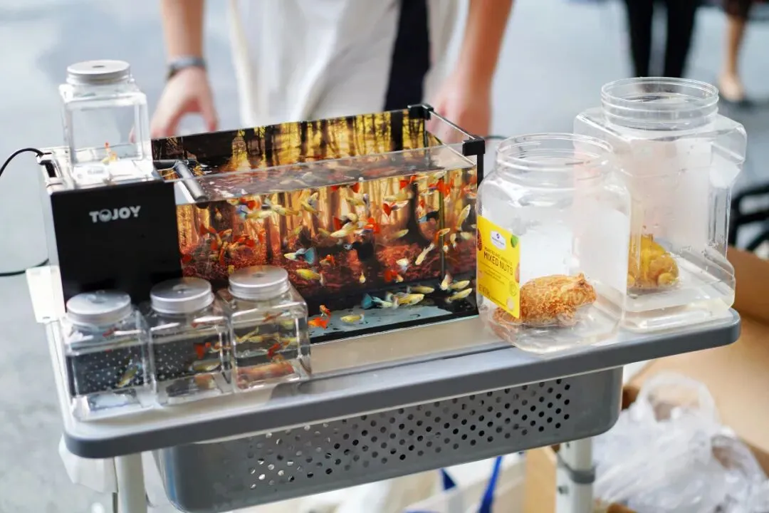 食趣狂欢!台山广旭第三届跳蚤市场暨美食节欢乐收官!