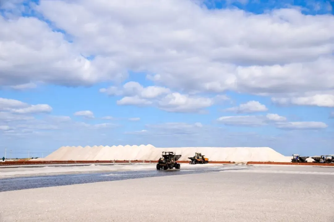 市场丨中高端盐卖不动?问题可能不在产品