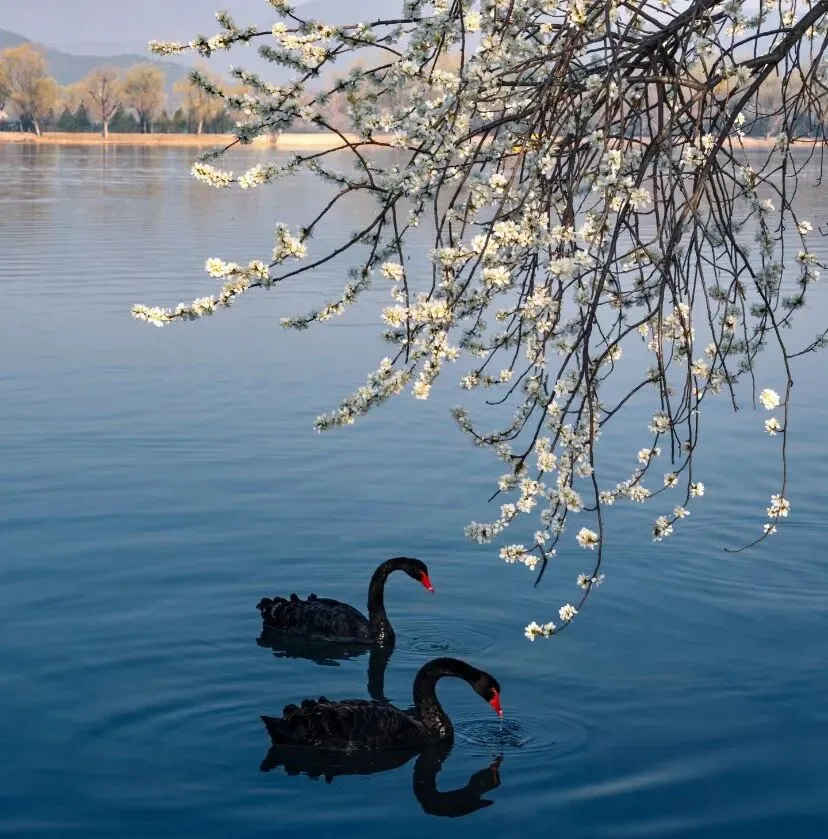 越来越多男性,开始退出婚恋市场