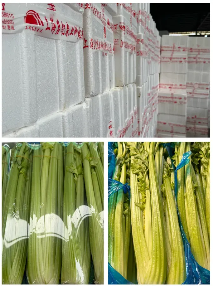 市场:蒜薹量足价优,番茄品类丰富,西芹短期供应偏紧——江桥本周行情速递