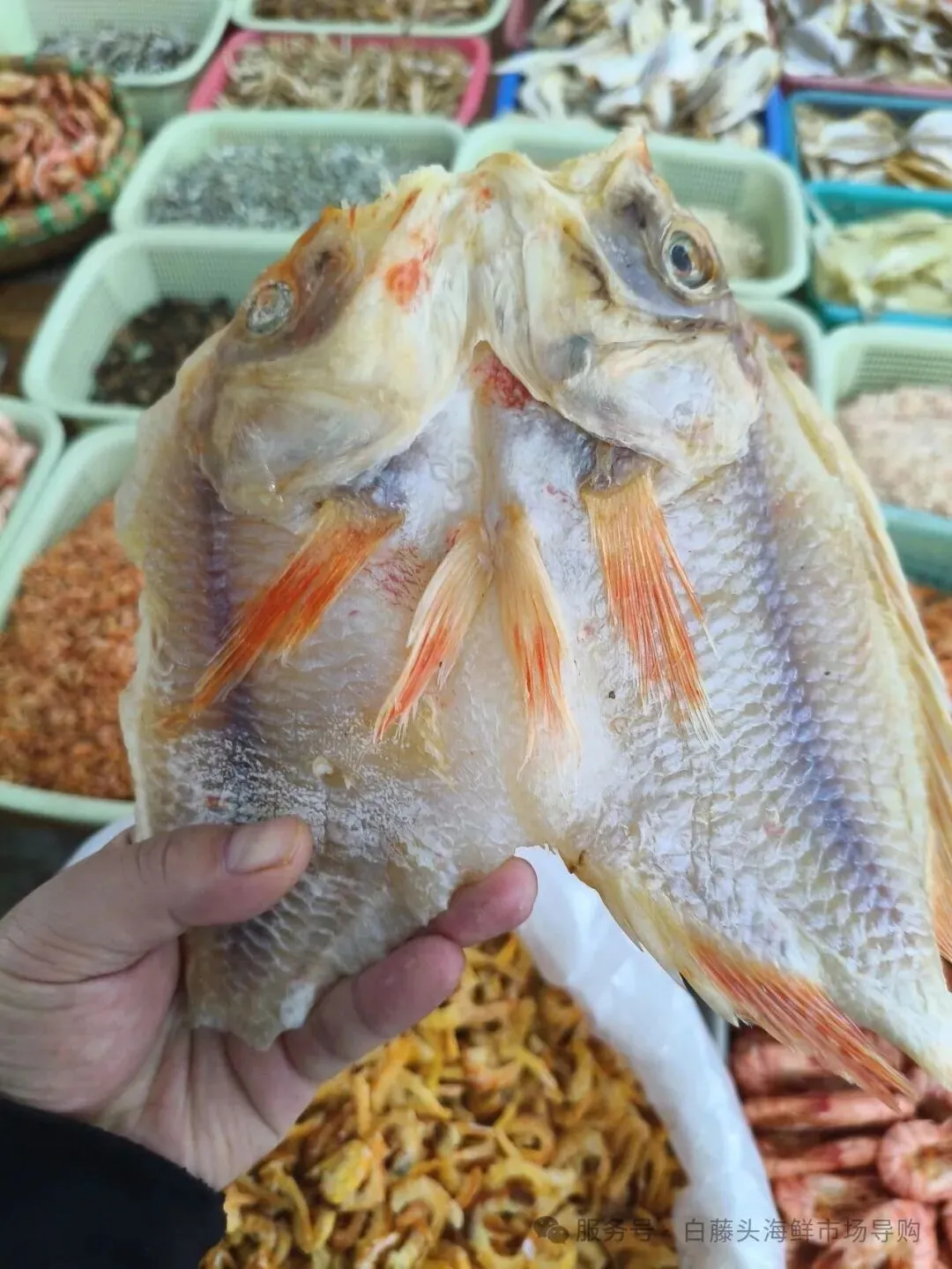 红鱼寻味:珠海白藤头水产批发市场二楼干活区里的咸鲜宝藏与年味传承>红鱼仔干(红腊鱼干)全攻略:藏在海风里的咸香珍味!