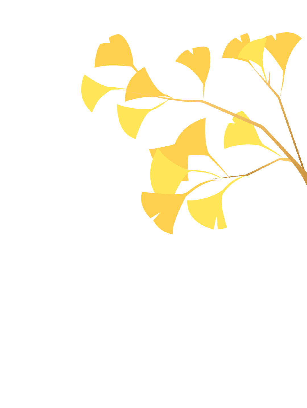 珠海斗门白藤头海鲜批发市场市集贵妃贝雅鉴:溯其名源、观其形色、探其产区,晓众人偏爱之由,附采买时序与甄选妙法