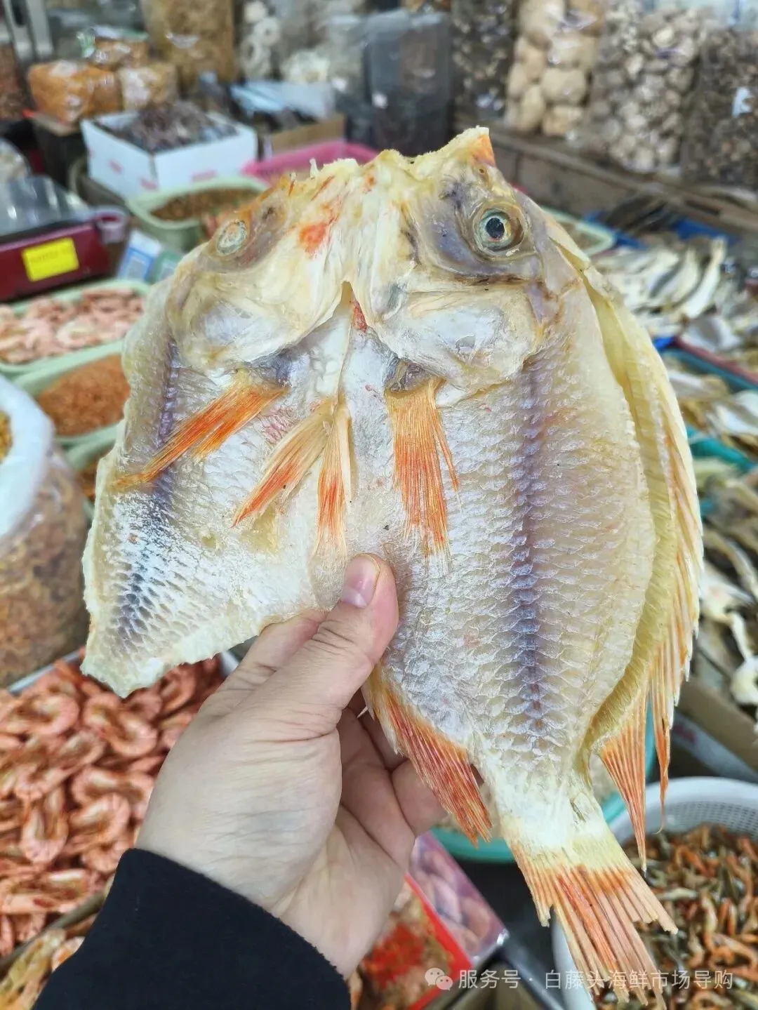 红鱼寻味:珠海白藤头水产批发市场二楼干活区里的咸鲜宝藏与年味传承>红鱼仔干(红腊鱼干)全攻略:藏在海风里的咸香珍味!