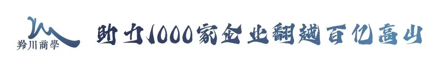从十亿到百亿,卡住企业增长的从不是市场,而是这四个 “两张皮”!