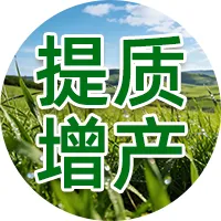 【尿素行情】 现货市场偏强、国际尿素涨价,为何国内尿素期货承压下行?