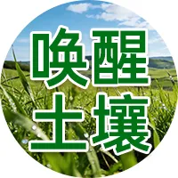 【尿素行情】 现货市场偏强、国际尿素涨价,为何国内尿素期货承压下行?