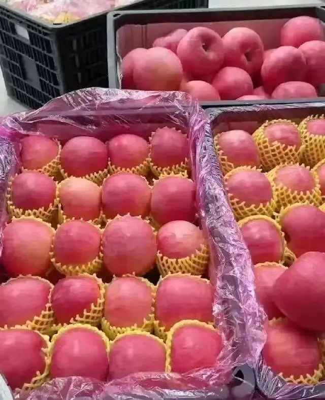 苹果市场惨不忍睹,销售行情堪称历史最差,价格高口感差阻碍了消费者的选择