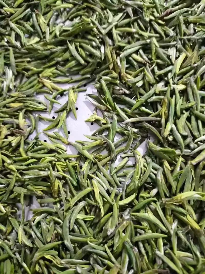 安康市市场监管局全力护航春茶地理标志保护