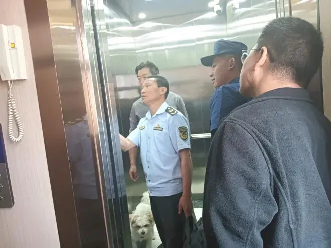 一周勐海市场监管(2026.4.6-2026.4.12)